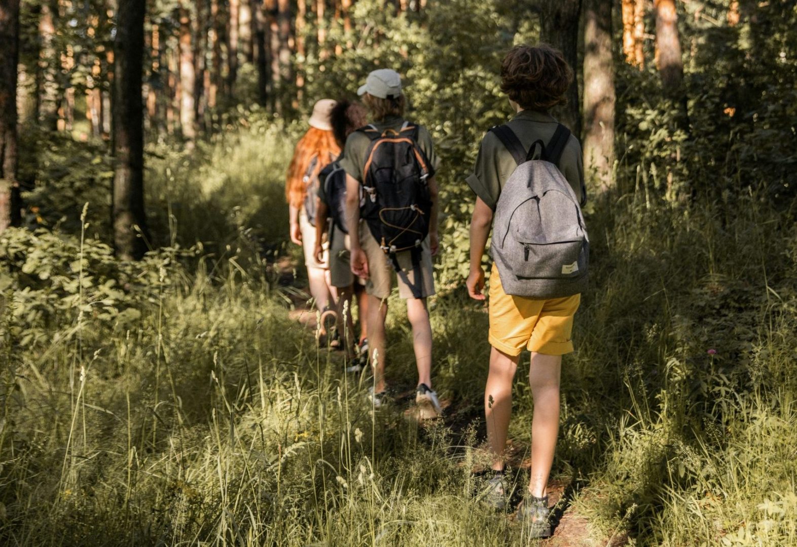 actividad educativa niños
