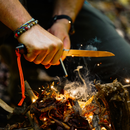 colaboradores-perros-pastores