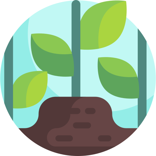 educativas actividades