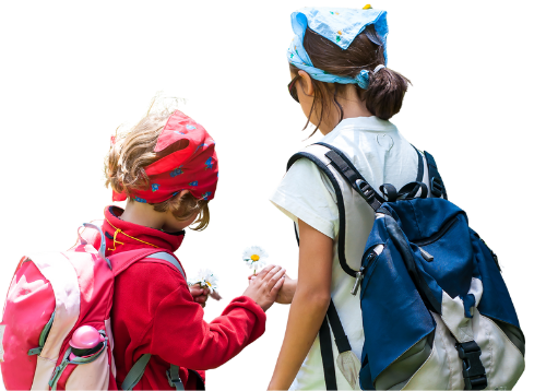 perros-pastores-web2