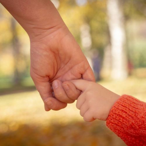 psicologa-perros-pastores