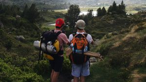 supervivencia adolescentes perros pastores (16)