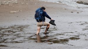 supervivencia adolescentes perros pastores (17)