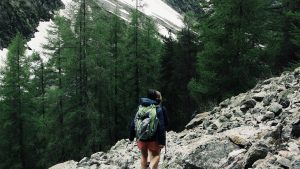 supervivencia adolescentes perros pastores (22)