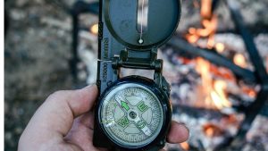 supervivencia adolescentes perros pastores (3)