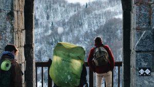 supervivencia adolescentes perros pastores (8)