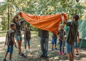 supervivencia-perros-pastores (16)