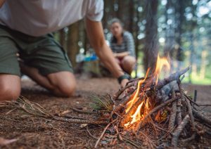 supervivencia-perros-pastores (6)