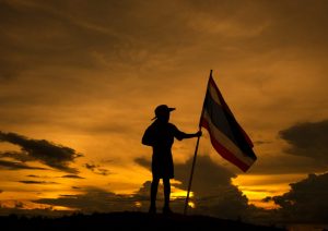 supervivencia-perros-pastores (9)